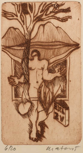 Exlibris by Miroslav Matous from Czech Republic for ? Z. V. - Scenery/Landscape Man Tree 