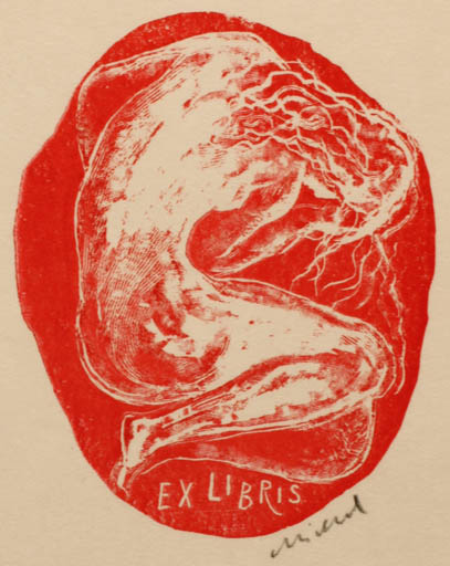 Exlibris by Rastislav Michal from Czech Republic for ? Freie Graphik - Woman 