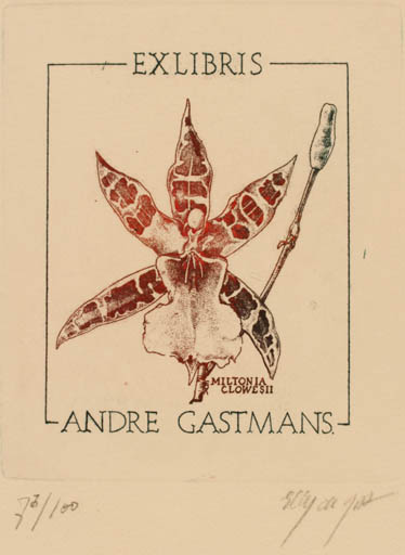 Exlibris by Elly de Koster from Netherland for André Gastmans - Flower 