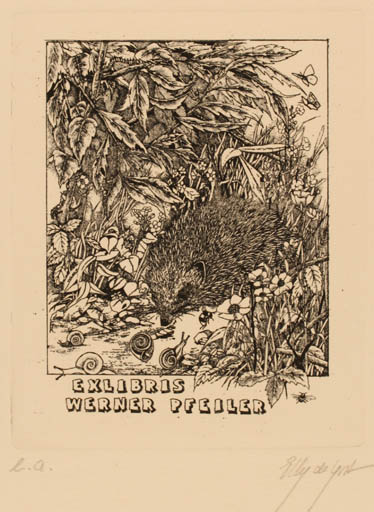 Exlibris by Elly de Koster from Netherland for Werner Pfeiler - Fauna Flora 