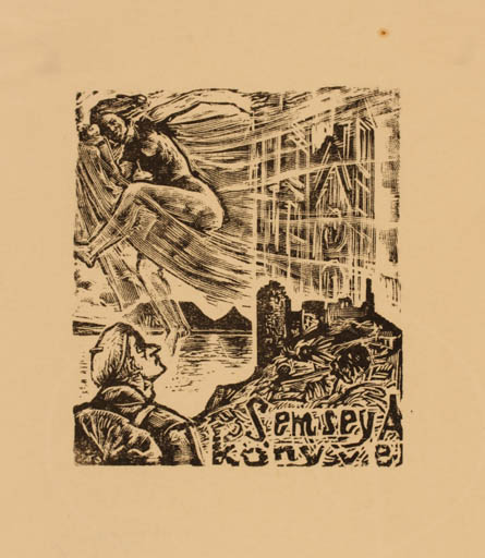 Exlibris by N. L. Varga from Hungary for Dr. Andor Semsey - Ruin 