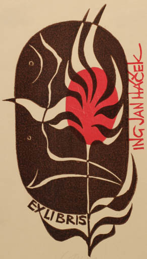 Exlibris by Ladislav Rusek from Czech Republic for Ing. Jan Hacek - Abstract Flora Woman 