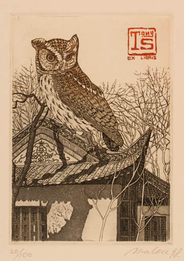 Exlibris by Malou Hung from Japan for Tony Sebrechts - Oriental Owl 