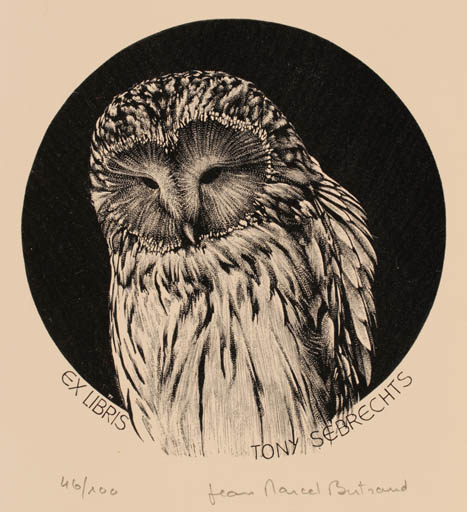 Exlibris by Jean-Marcel Bertrand from France for Tony Sebrechts - Owl 