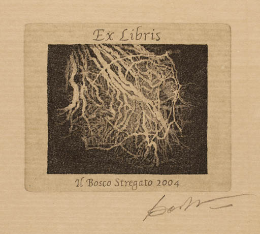 Exlibris by Carlo Barbero from Italy for Il Bosco Stregato - Abstract 