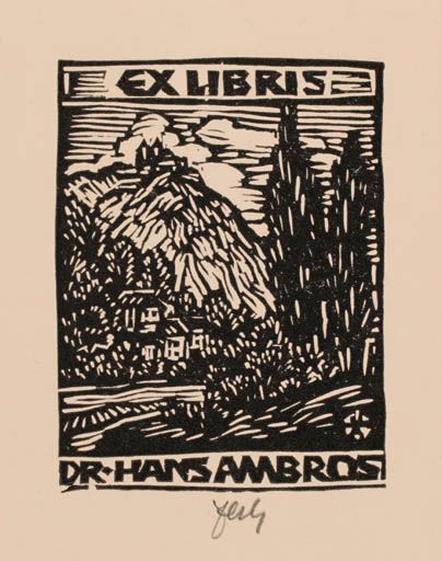 Exlibris by Otto Feil from Austria for Dr. Hans Ambros - Mountain Scenery/Landscape 