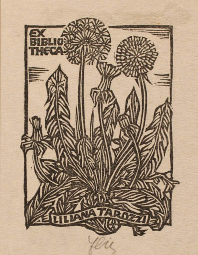 Exlibris by Otto Feil from Austria for Liliana Tarozzi - Flora 