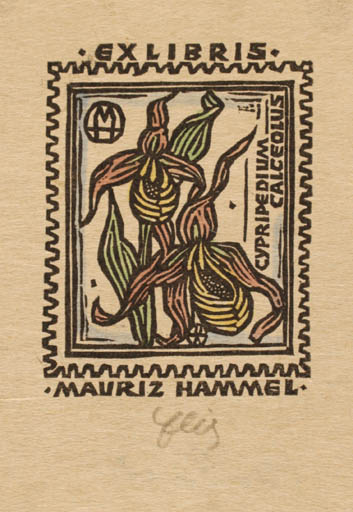 Exlibris by Otto Feil from Austria for Mauriz Hammel - Flower Heraldry 