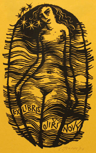 Exlibris by Ladislav Rusek from Czech Republic for Jiri Novy - Woman Nude 