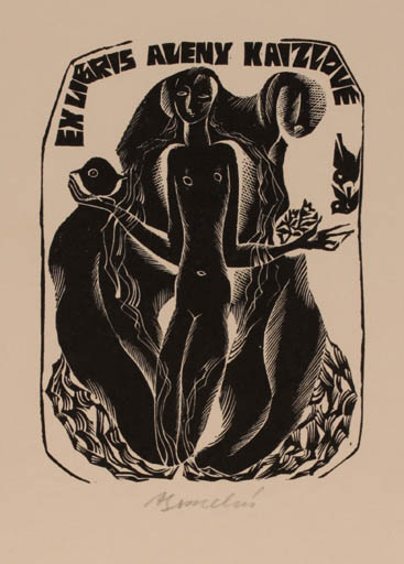 Exlibris by Anna Grmelova from Czech Republic for Aleny Kaizlove - Woman 