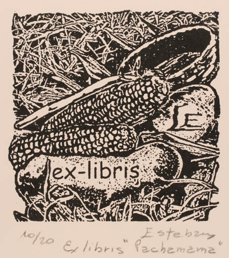 Exlibris by Liliana Esteban from Argentina for Liliana Esteban - 