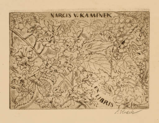 Exlibris by Ladislav Vlodek from Czech Republic for ? Kaminek. Narcis V. - Flora Wine 