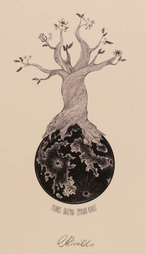 Exlibris by Ewelina Rivillo from Poland for Grazyna Zemanek-Rivillo - Tree 