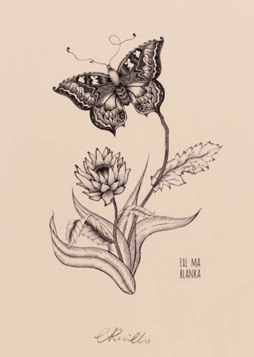 Exlibris by Ewelina Rivillo from Poland for Ma Blanka - Flower Butterfly 