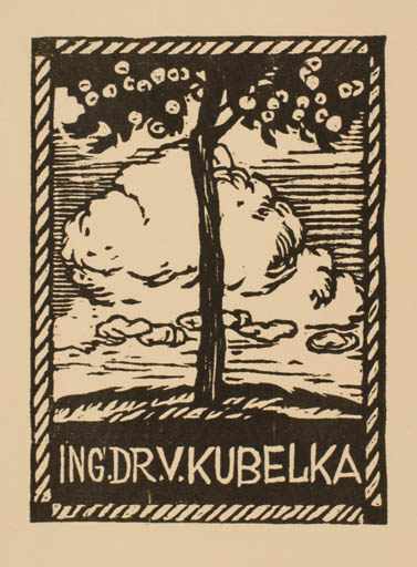 Exlibris by Jaroslav Votruba from Czech Republic for Ing. Dr. V. Kubelka - Flora Scenery/Landscape Tree 