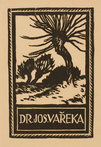 Exlibris by Jaroslav Votruba from Czech Republic for Dr. Jos. Vareka - Flora Scenery/Landscape Tree 