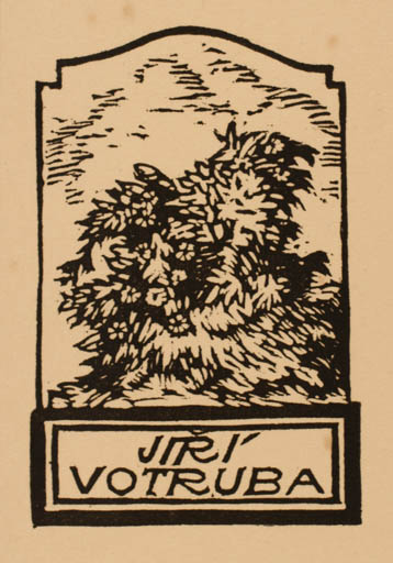 Exlibris by Jaroslav Votruba from Czech Republic for jiri Votruba - Flora 