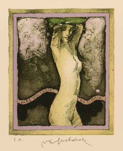 Exlibris by Vladimir Suchanek from Czech Republic for Ales Vojtasik - Woman Nude 