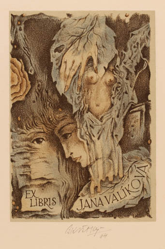 Exlibris by Bohumil Kratky from Czech Republic for Jana Valikova - Woman 