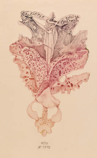 Exlibris by Michaela Lesarova-Roubickova from Czech Republic for Wasta Opatrna - Flower 