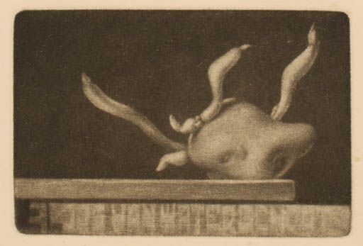 Exlibris by Konstantin Chmutin from USA for Jos van Waterschoot - Fauna 