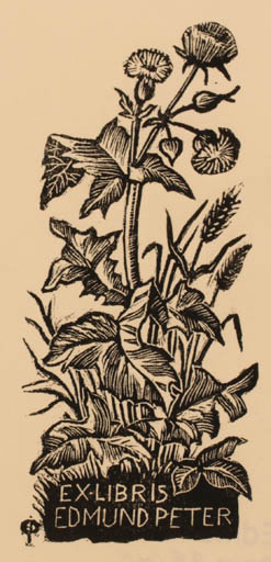 Exlibris by Edmund Peter from Denmark for ? Ipse - Flower Flora 