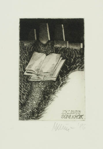 Exlibris by Marian Klincevicz from Poland for Soni Krok - Book 