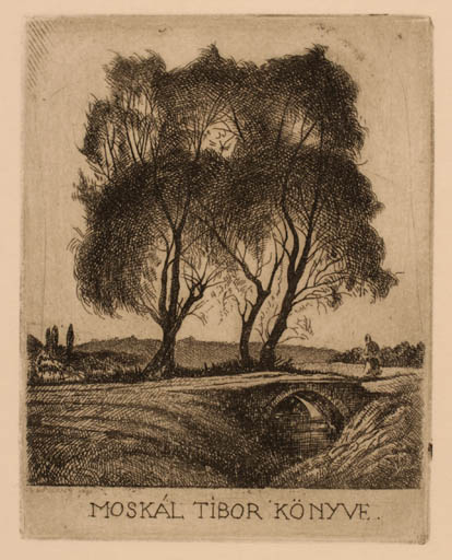 Exlibris by Zoltan Kaveczky from Hungary for Tibor Moskal - Scenery/Landscape Tree 