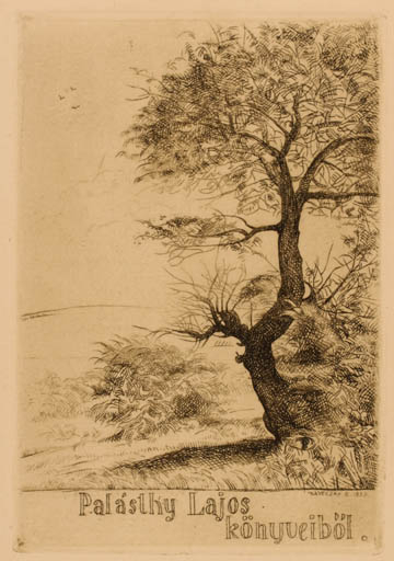 Exlibris by Zoltan Kaveczky from Hungary for Palásthy Lajos - Scenery/Landscape Tree 