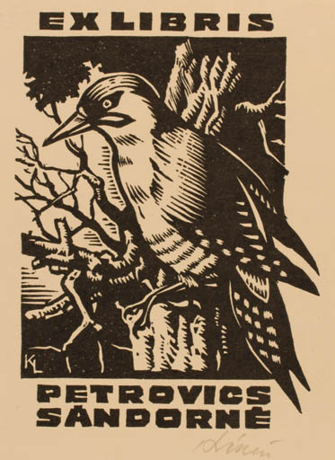 Exlibris by Laszlo Kekesi from Hungary for Petrovics Sandorne - Bird 