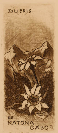 Exlibris by Tibor Moskal from Hungary for Dr. Katona Gabòr - Mountain Flower 