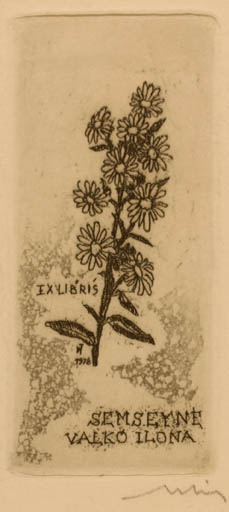 Exlibris by Tibor Moskal from Hungary for Valko Ilona Semseyne - Flower 