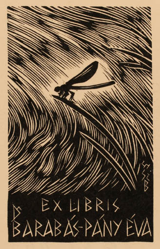 Exlibris by Bèla Gy Szabo from Hungary for Dr. Pany Eva Barabas - Insect 