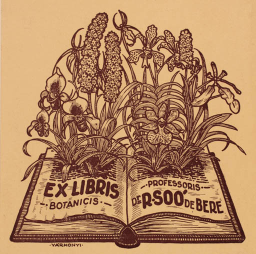 Exlibris by Kàroly Vàroknyi from Hungary for Rezsö Dr. berei Soò - Book Flora 