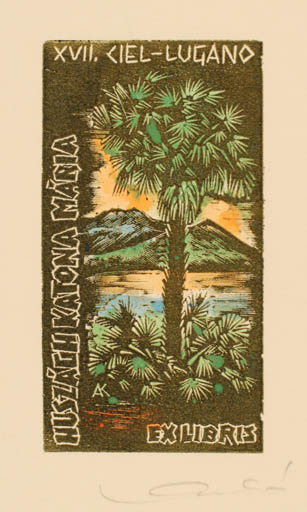 Exlibris by Kàroly Andrusko from Yugoslavia for Maria Huszagh Katona - Exlibris Congress Scenery/Landscape Palm tree 