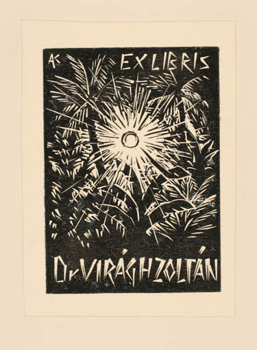 Exlibris by Kàroly Andrusko from Yugoslavia for Dr. Zoltan Viragh - Flora Palm tree Sun 