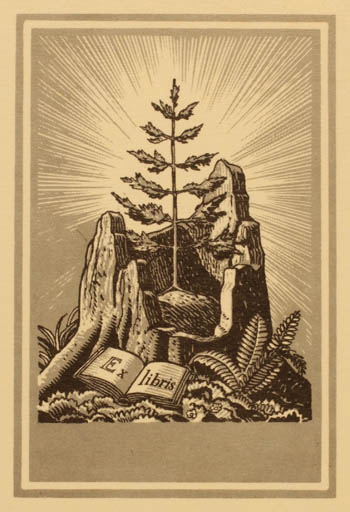 Exlibris by ? Unbekannt from Unknown for ? Unbekannt - Book Sun Tree 